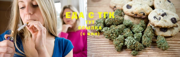 ECSTASY Богданович